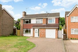 Photo 10- click for photo gallery